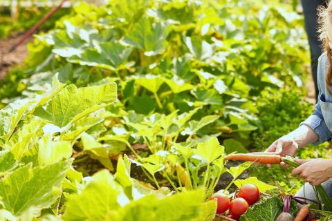 ESG and DE&I Study Center: A cutting-edge study center for a sustainable future