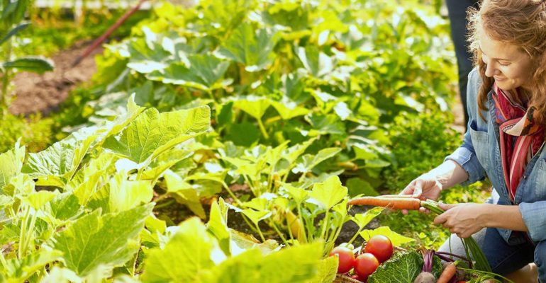 ESG and DE&I Study Center: A cutting-edge study center for a sustainable future